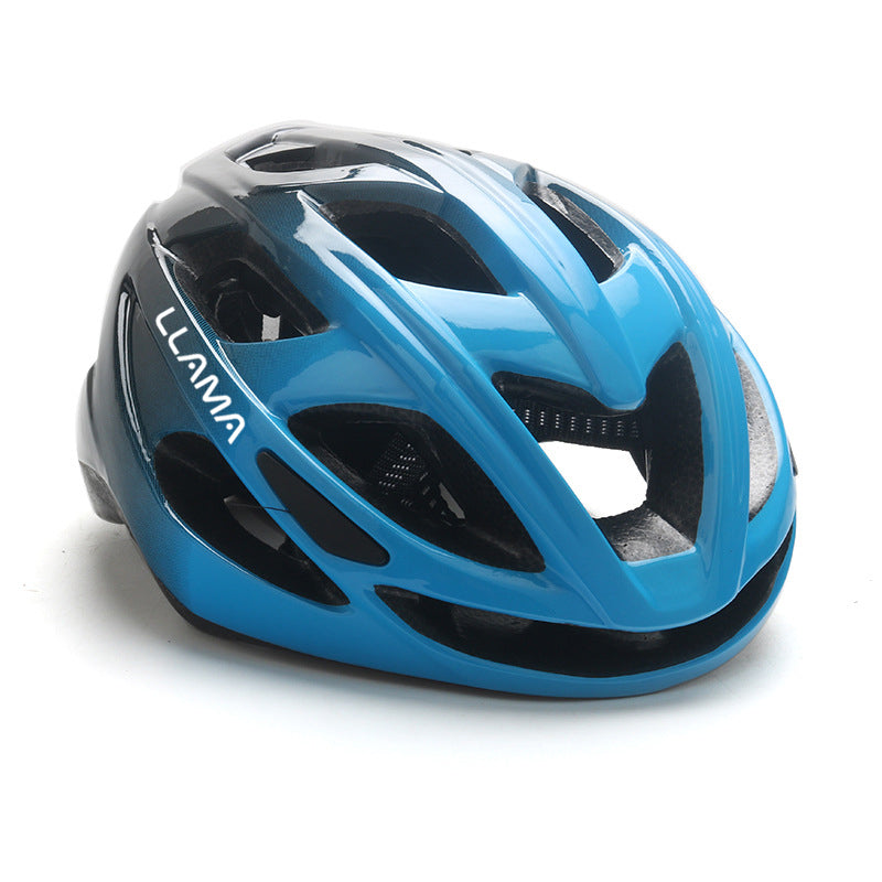 LLAMA Helmet