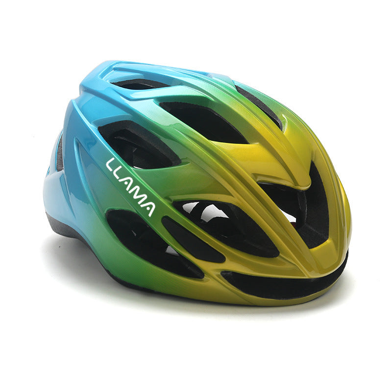 LLAMA Helmet