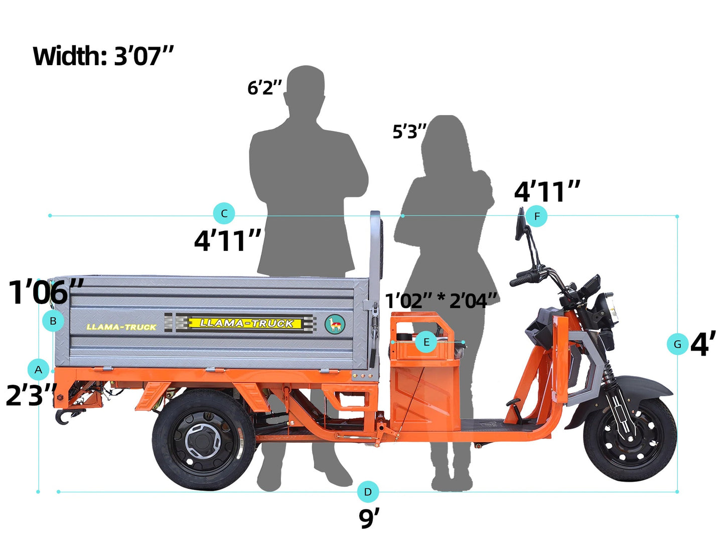 LLAMA Truck Crest (Assembled in USA)